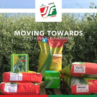 We live in a world that is becoming less fond of chemicals and looking at more biological ways to look after and build your soils. 

JSF has the perfect solution to improve soils, productivity, quality and quantity of your crops, all while moving towards more sustainable farming.

Get in touch with us today:
📱 Francois 082 445 1741 
📱 Bjorn 079 494 4215 
📧 bjornjsf@gmail.com